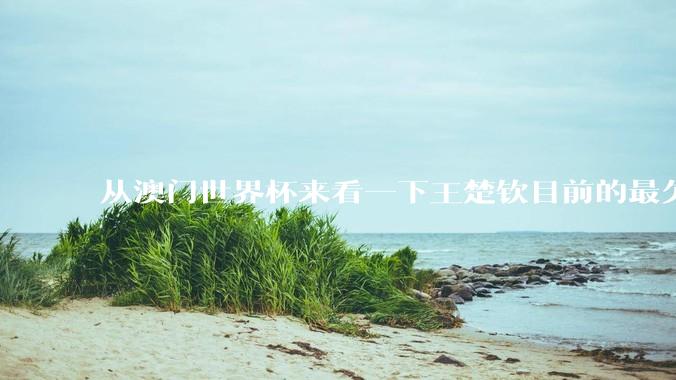 从澳门世界杯来看一下王楚钦目前的最欠缺的东西是什么？