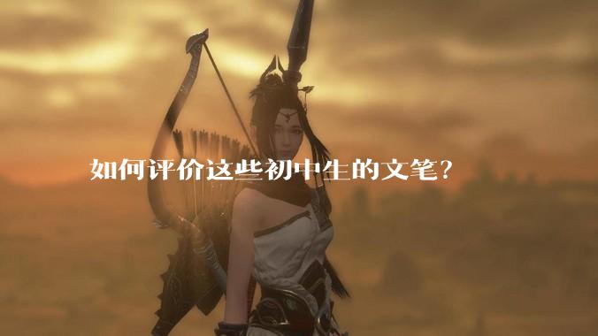 如何评价这些初中生的文笔？