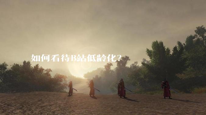 如何看待B站低龄化？
