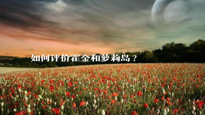 如何评价霍金和萝莉岛?