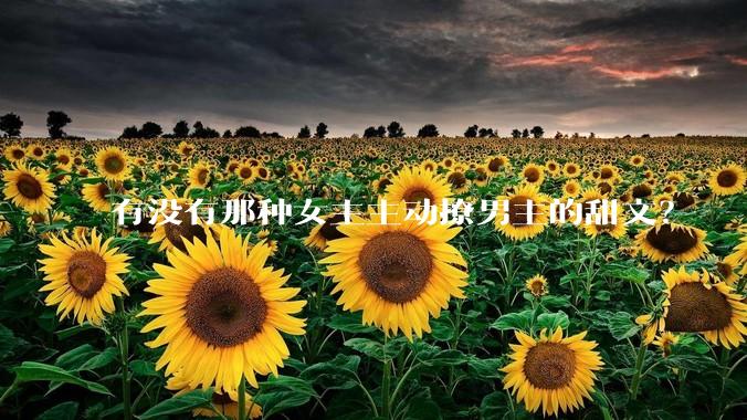 有没有那种女主主动撩男主的甜文？