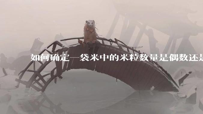如何确定一袋米中的米粒数量是偶数还是奇数？
