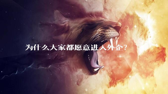 为什么大家都愿意进入外企？