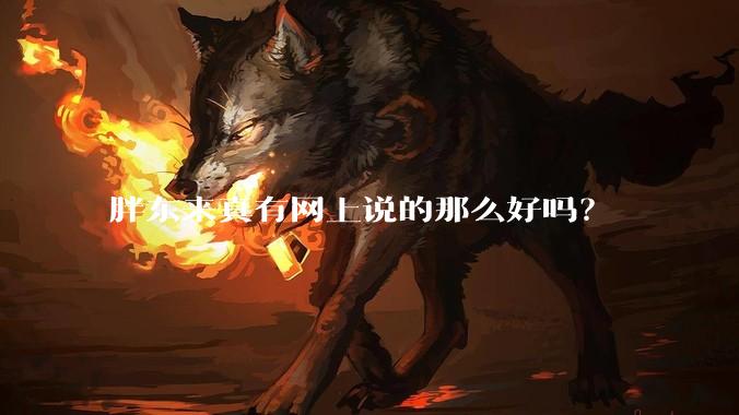 胖东来真有网上说的那么好吗？