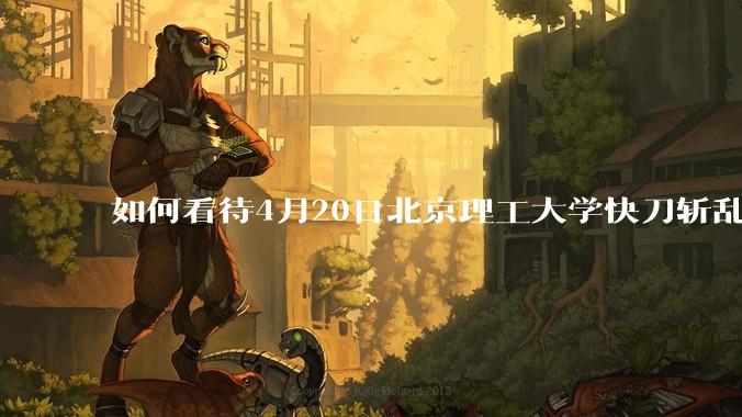 如何看待4月20日北京理工大学快刀斩乱麻处理“宫琳***”的做法？
